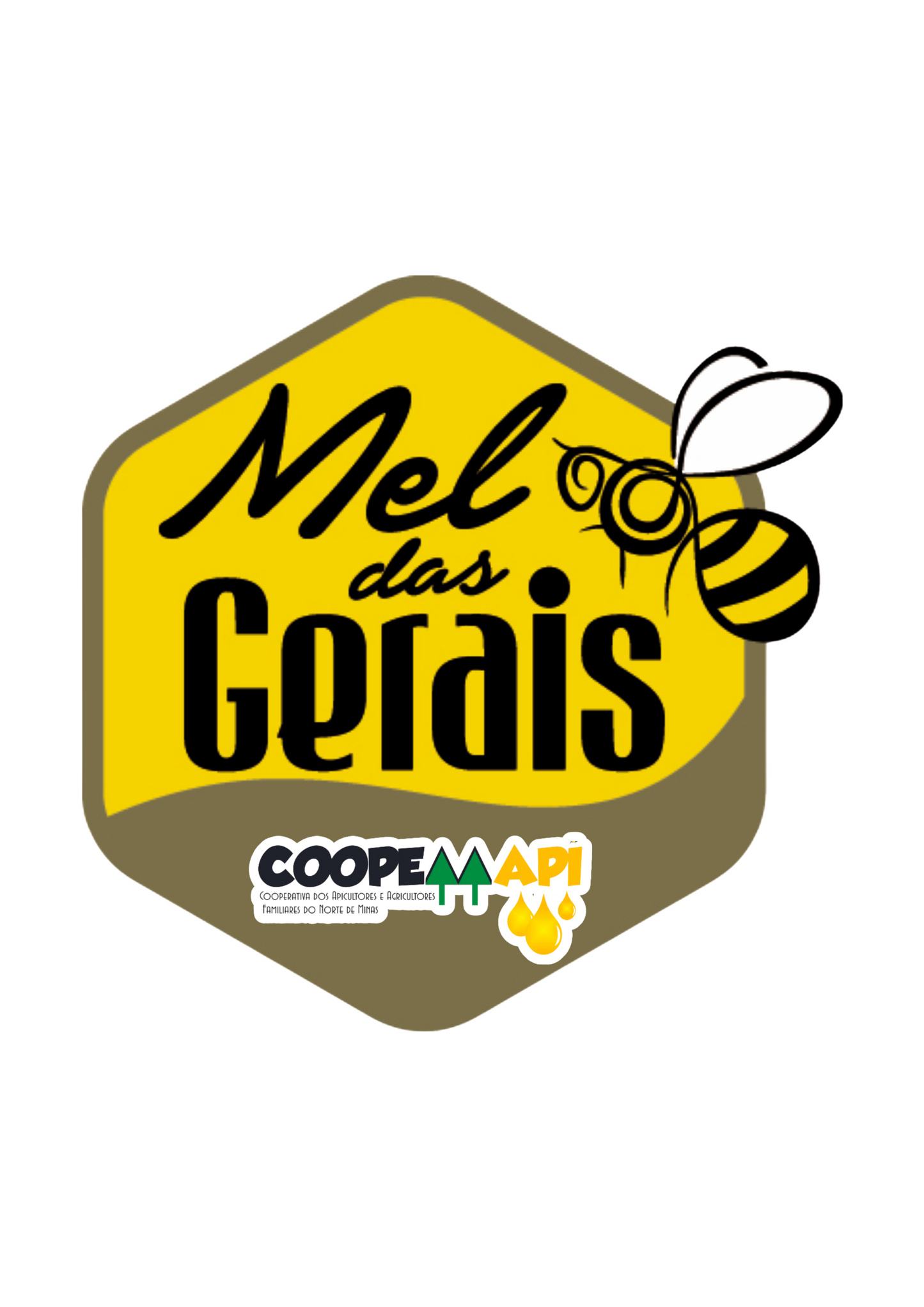 Aroeira Blütenhonig - Coopemapi - 240g